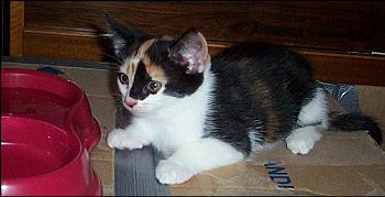 At home for the first time.