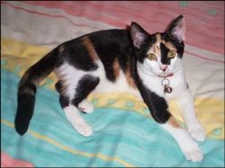 On the bed, all wide awake