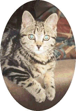 Sniffy at 6 months old